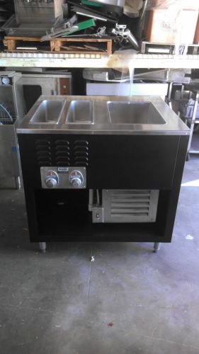 HOT AND COLD WELL UNIT- MFD BY DUKE-  110 VOLT