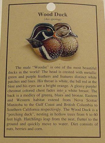 Wood duck hat pin lapel pins -free u.s. ship for sale