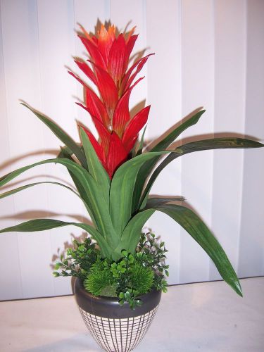 21&#034; Guzmania plant - tropical floral - home decor