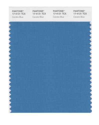 PANTONE SMART 17-4131X Color Swatch Card, Cendre Blue