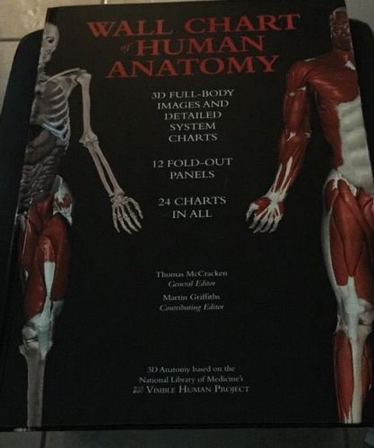 NEW Wall Chart Human Anatomy 3D Full Body Images &amp; Details System Charts