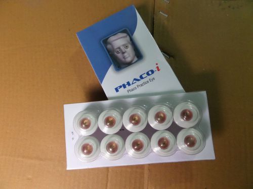 Phaco Practice Eye (pack of 10 pcs) - Ophthalmic Teaching &amp; Training device