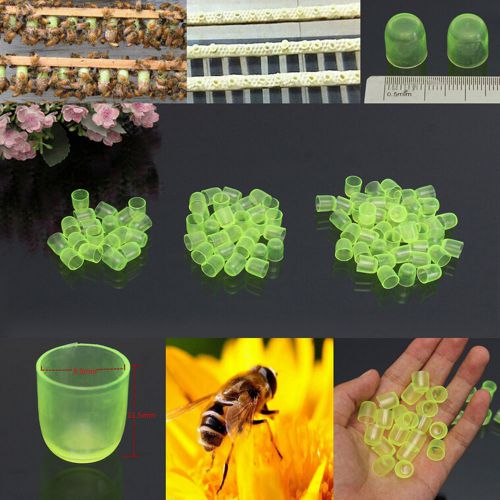 100PCS Beekeeping Cell Cups Royal Jelly Cups Set Queen Bee Rearing Equipment NEW