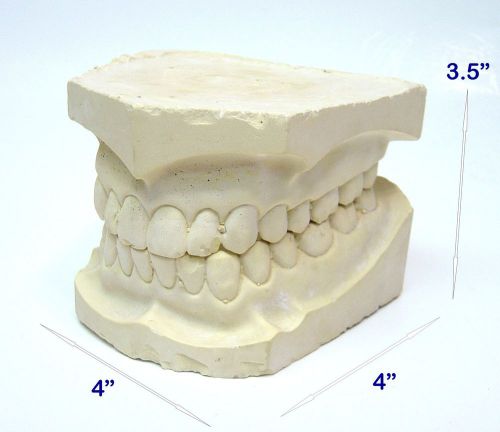 VINTAGE OLD LAB DENTAL CAST COLUMBIA DENTOFORM S961/S962 DR. LINEK MADE IN USA