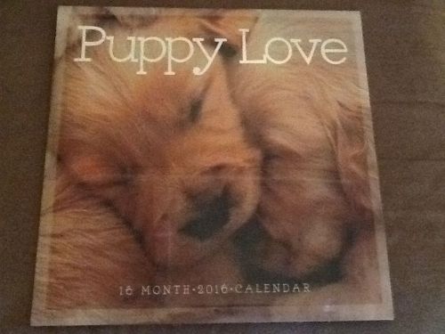 2016 Puppy Love Calendar (16 month)