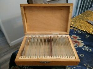Vintage Prepared Slides (29) In Wooden Case With Manual