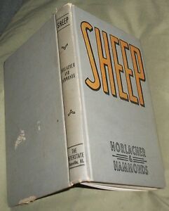VINTAGE 1953 SHEEP BY LEVI JACKSON HORLACHER &amp; CARSIE HAMMONDS PRIVATE OWNED