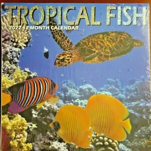 2022 Tropical Fish Aquatic 12 Month 12x12 Wall Calendar Monthly Planner Agenda