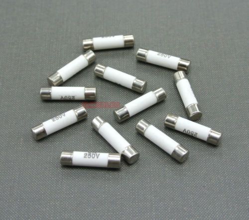 10pcs Ceramic Tube Fuse 2A 250V Fast Blow Type 5x20mm