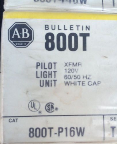 Package Of 5 Allen-Bradley 800T-P16W Pilot Light white lens