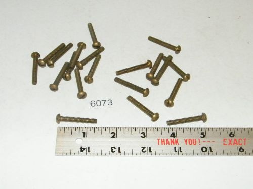 10-24 x 1 1/4 Slotted Solid Brass Round Head Machine Screws Qty 20