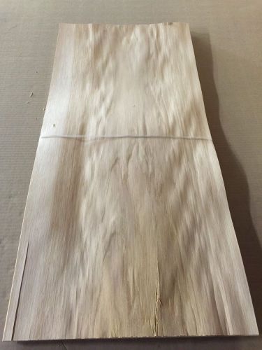Wood Veneer Hickory 13x29 22 Pieces Total Raw Veneer &#034;EXOTIC&#034; HI2 1-8-15