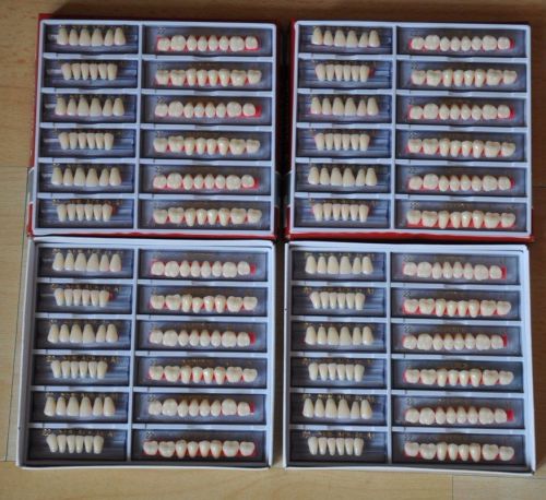 Oral 28x1 A1 color acrylic resin denture full mouth of teeth 2 box (48 plate)