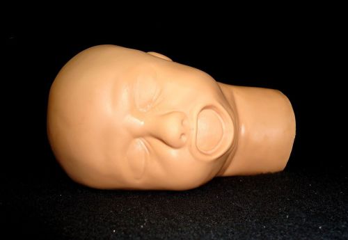 Baby, Infant Head with Open Mouth Anatomical Model