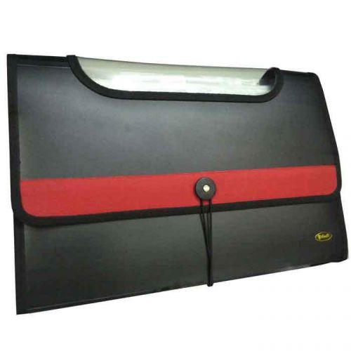 Expandable document file holder - plastic a4 for sale