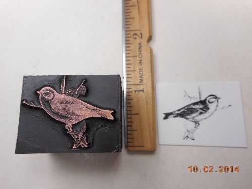 Printing Letterpress Printers Block, Bird on Limb