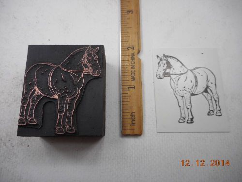 Letterpress Printing Printers Block, Percheron Draft Horse