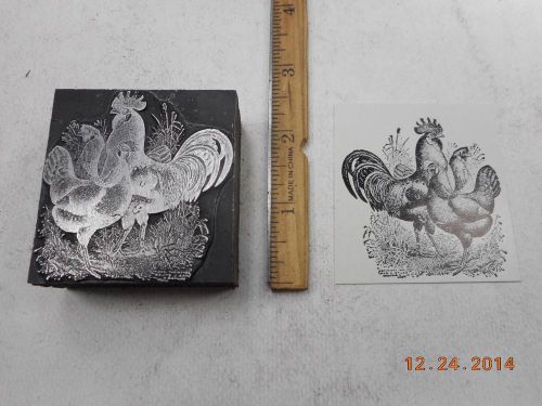 Letterpress Printing Printers Block, Farm Chicken, Rooster &amp; 2 Hens, Poultry