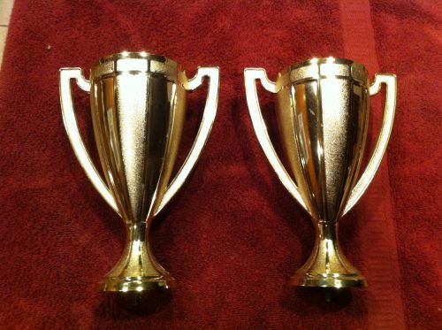 Trophy Cups 8&#034;