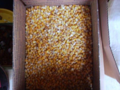 20 LBS OF DEER,TURKEY,BIRD,PET, WILDLIFE / FEED CORN, CORN BAG HEATING PADS