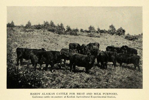 1910 print kodiak agricultural experiment station afes original historic tw3 for sale