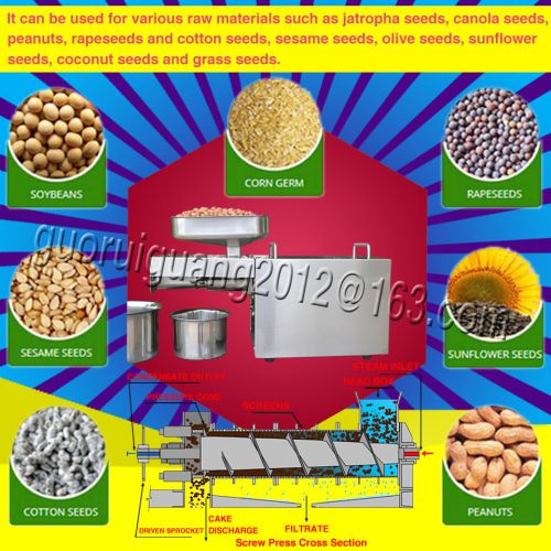 110V/220V Commercial Auto Nut Seed Oil Expeller,cold Oil Press machine