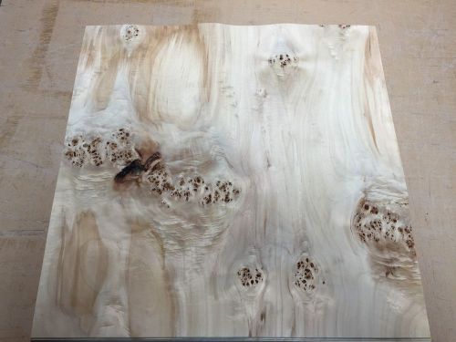 Wood Veneer Mappa Burl 25x25 24 Pieces Total Raw Veneer &#034;EXOTIC&#034;MAP1 2-11-15