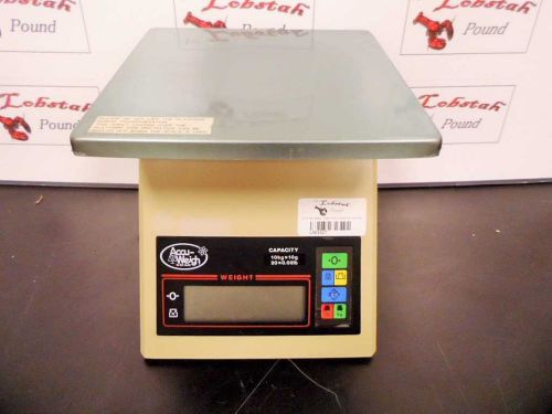 Accuway Platform Scale 5801