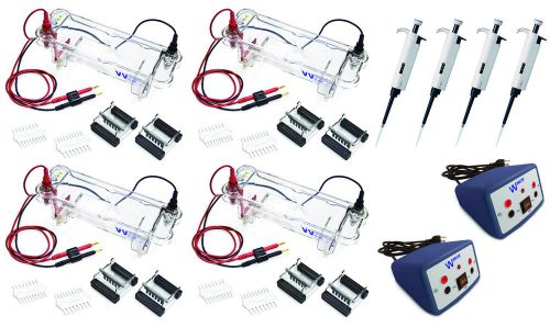 Walter products el-200-32 electrophoresis lab set, supports 32 students for sale