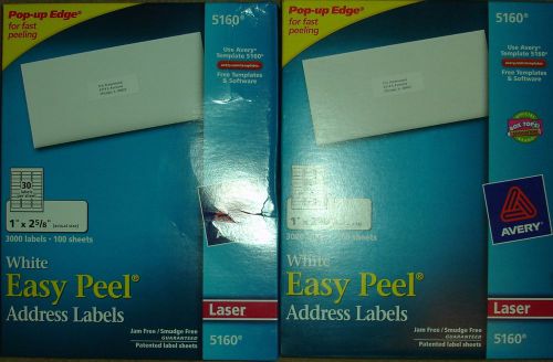2 Boxes AVERY 5160 White Address Labels 1&#034; X 2 5/8&#034; 3000 Labels Each NEW