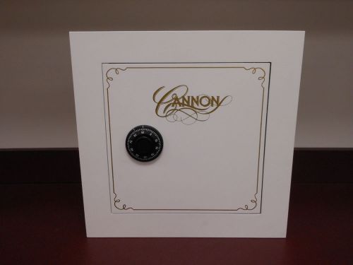 CANNON White Recessed Combination Lock Cash Jewelry Gun Security Wall Vault Safe