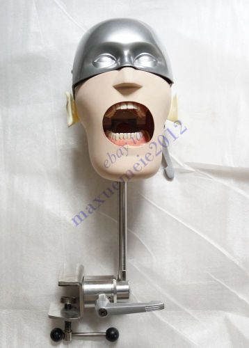 HS Dental Simulator Manikin Phantom Bench Mount Teeth Tooth Typodont Display US