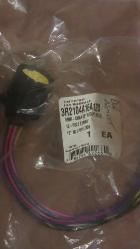 New Brad Harrison 3R2104A16A120 RECEPTACLE 12POLE FEMALE STRAIGHT 12IN #18/1