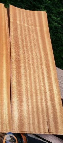 African Ribbon Sapele Mahogany wood veneer 25&#034; x 8 3/8&#034; highly figured