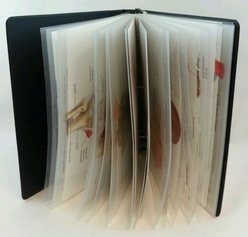 40pc GPI Transparent Human Anatomy For Projector