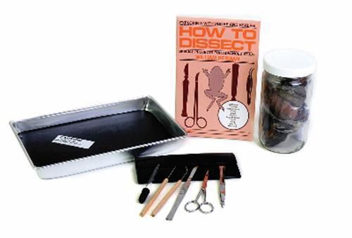 Complete dissecting kit - 14 pieces for sale