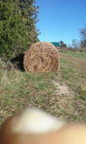 for sale big round hay, 4 by 5 15 pounds 35 dollars a hay bale