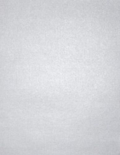 Envelopes.com 8 1/2 x 11 Cardstock - Silver Metallic (50 Qty.)