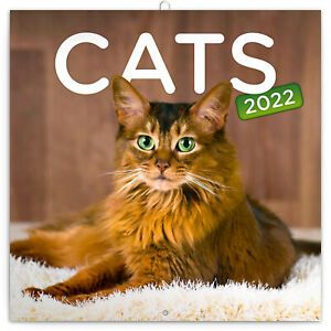 Grid calendar Cats 2022, 30  30 cm
