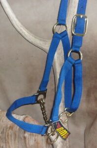 New Blue Nylon Cow Control Halter With Chain, BMB.