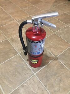 Buckeye 5lb ABC Fire extinguisher