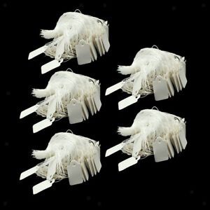 2500x Price Tags Shop Clothes Jewelry Labels w/ String Merchandise Cards