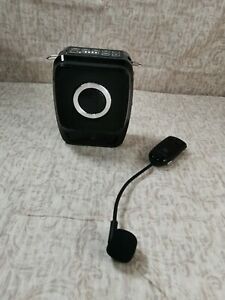 WinBridge Voice Amplifier with  Wireless Headset Microphone, with Case
