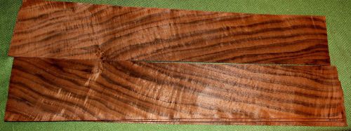 European Walnut 23.25 x 3.75 wood Veneer  #v1295