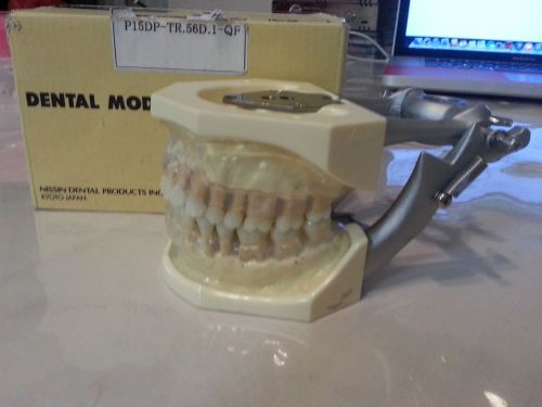 Kilgore Dental Model PERIO
