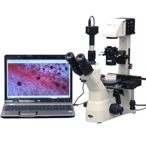 40x-900x infinity plan phase kohler inverted microscope w 9mp camera for sale