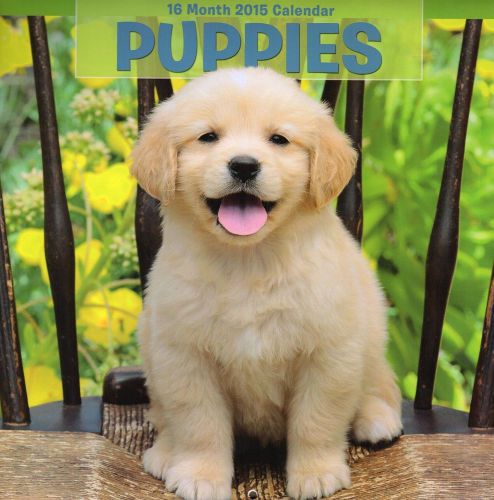 2015 16 Month PUPPIES 12x12 Wall Dog Calendar NEW &amp; SEALED