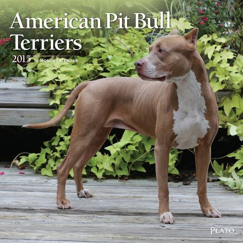 2015 American Pit Bull Terriers Wall Calendar - 12x12  - NEW