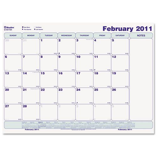 Rediform Write-On Cling-On Monthly Calendar 17x22 White. Sold as Each