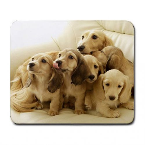 charming new born pups puppy dog family photo mousepad